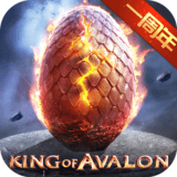 阿瓦隆之王：权力的游戏
